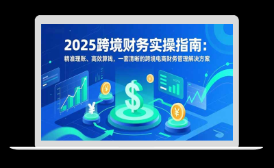 2025跨境财务实操指南：精准理账、高效算钱，一套清晰的跨境电商财务管理解决方案-站源网