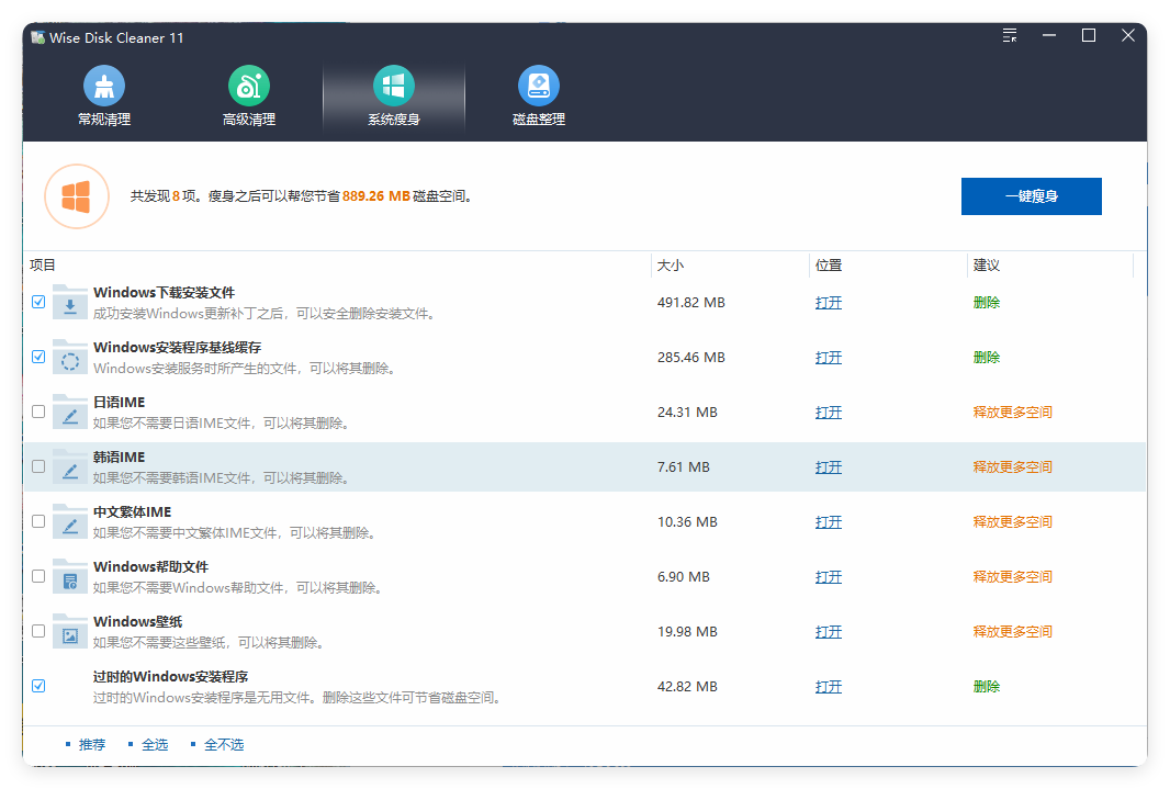 Wise Disk Cleaner v11.3.5.855绿色版