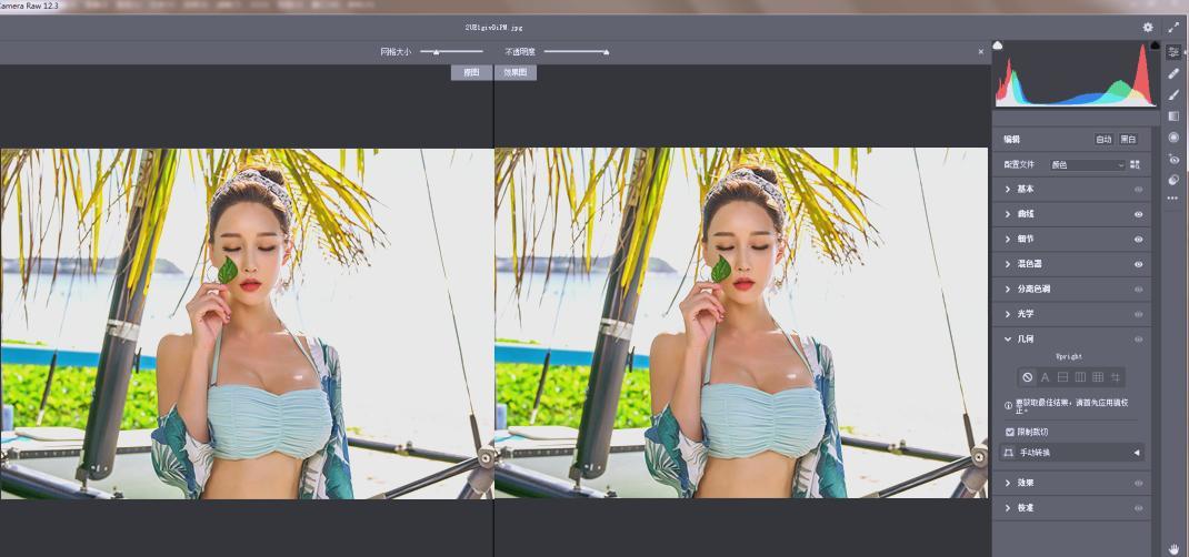 RAW处理Adobe Camera Raw v18.3.2中文版