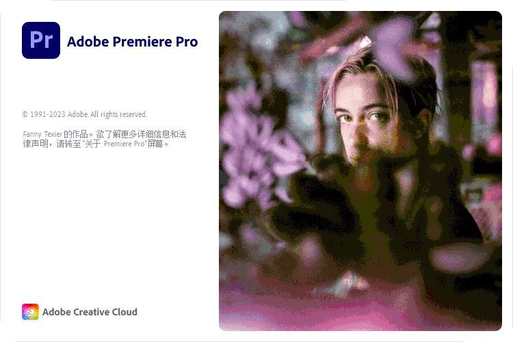 Adobe Premiere Pro 2025 v25.3.0-趣奇资源网-第6张图片