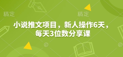 小说推文项目，新人操作6天，每天3位数分享课-站源网