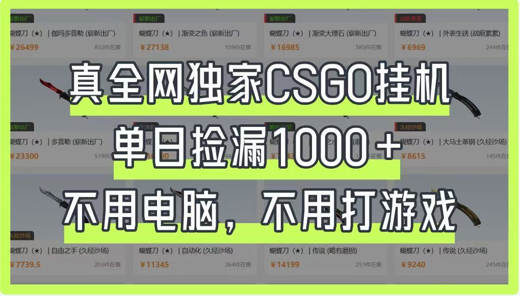 图片[1]-真全网独家CSGO挂机，单日捡漏1000+，不用电脑，不用养号-站源网