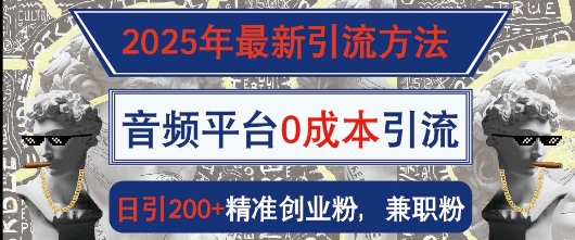 2025年最新引流方法，音频平台0成本引流，日引200+精准创业粉-站源网