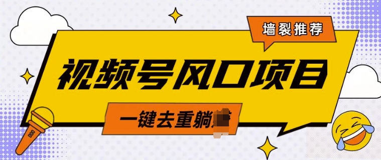 视频号风口蓝海项目，中老年人的流量密码，简单无脑，一键去重，轻松月入过W-站源网