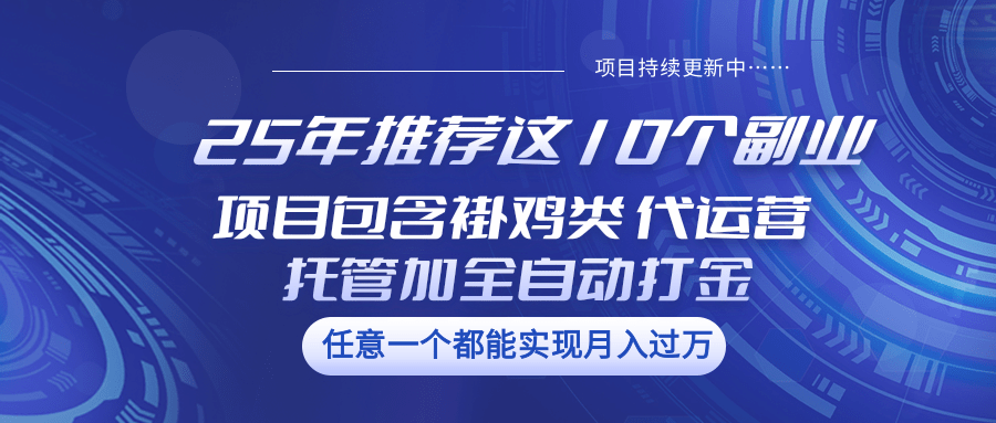 图片[1]-25年推荐这10个副业 项目包含褂鸡类、代运营托管类、全自动打金类-站源网