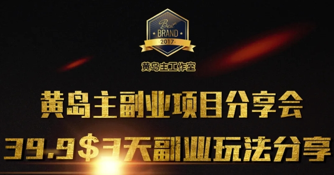 黄岛主副业分享会1期：3天3个副业玩法，速度上车-站源网