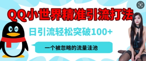 QQ私域引流平台，流量年轻且巨大，实操单日引流100+创业粉，月精准变现1W+-站源网