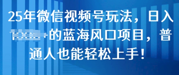 25年微信视频号玩法，日入几张的蓝海风口项目，普通人也能轻松上手!-站源网