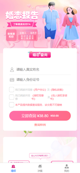 个人企业案件查询系统无加密源码