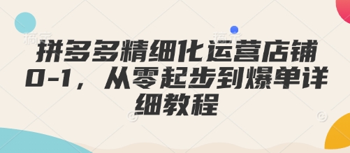 拼多多精细化运营店铺0-1，从零起步到爆单详细教程-站源网
