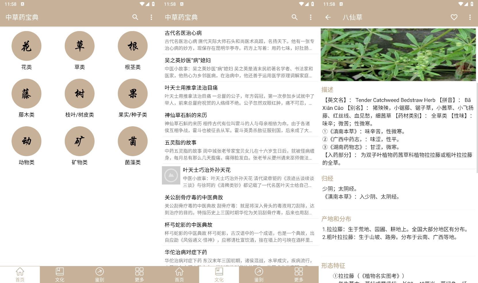 安卓中草药宝典v2.6.12纯净版-趣奇资源网-第6张图片