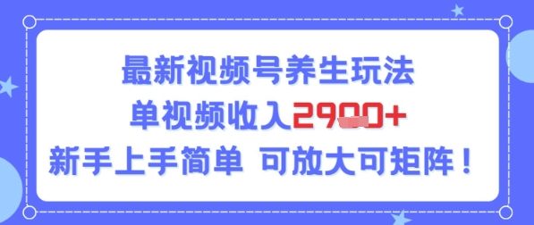 视频号养生玩法，单视频收入2.9k，新手上手简单