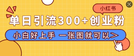 小红书单日引流300+创业粉，“简单粗暴”引流法，小白好上手，私信回不完-站源网